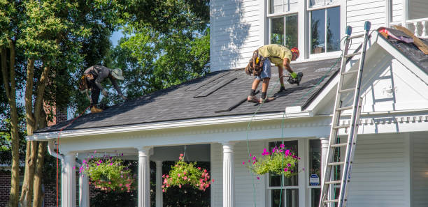 Best Roof Insulation Installation  in Towaoc, CO